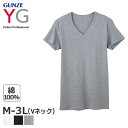 10%OFF グンゼ ワイジー コットン100％ オールシーズン VネックTシャツ(M L LL 3Lサイズ)YV0015V【メール便30】