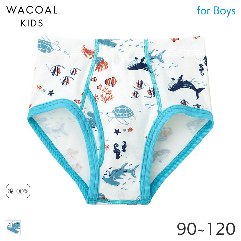 【4/21 10:59まで20%OFF】ワコール キッズ ボーイズ ブリーフ(90 100 110 120)CPQ125【メール便04】