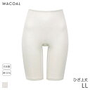 15%OFF ワコール コットン オーガニックコットン100%タイプ ニットボトム はきこみ丈ふかめ ひざ上丈(LL)HLD429【メール便08】