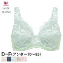 〈10/17 10:59まで30%OFF〉ワコール ラゼ 11グループ ブラジャー フルカップ(D E Fカップ)BFA311【メール便30】