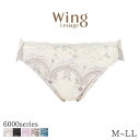 【9/29 10:59まで22%OFF】ウイング レシアージュ 6000シリーズ ショーツ はきこみ丈あさめ ハイレッグショーツ(M L LL)PF6000【メール便04】