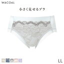 【9/11 10:59まで22%OFF】ワコール 小さく見せるブラ ショーツ はきこみ丈ふつう ノーマルショーツ(LL)PRA129【メール便04】