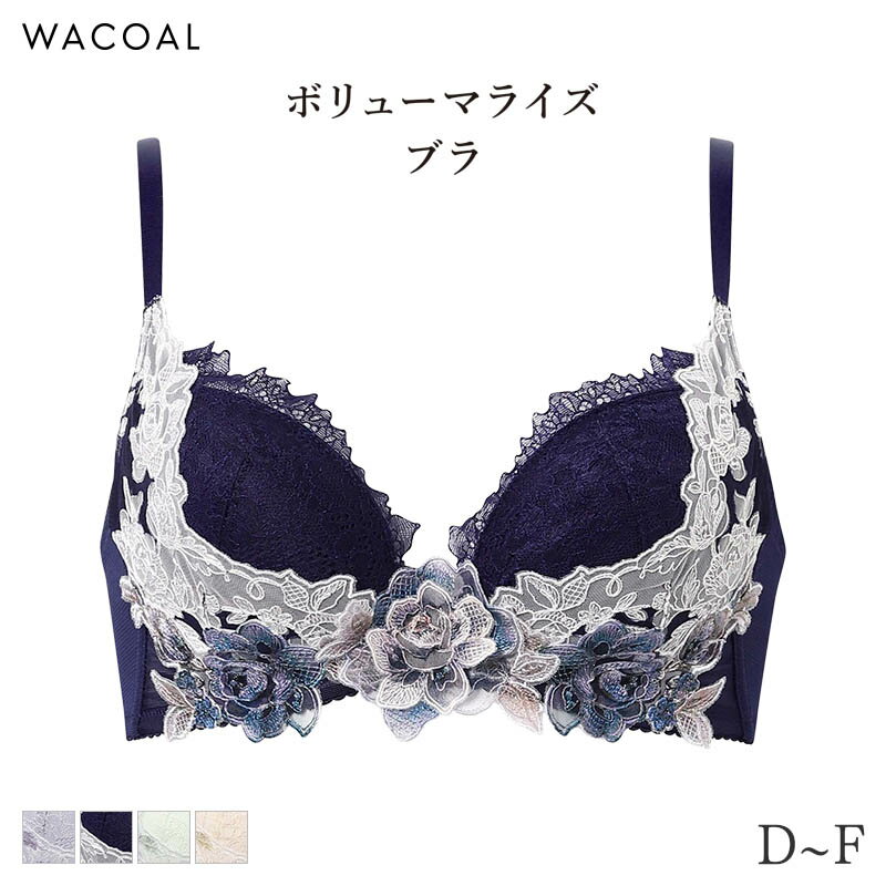 11/27 10:59ޤ22%OFFۥ拾 ץߥ 22꡼ ֥饸㡼 3/4å ܥ塼ޥ饤֥(D E F)BXD722