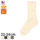 25%OFF R[ C(22-24cm)PPL151y[10z