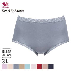 https://thumbnail.image.rakuten.co.jp/@0_mall/liberty-h/cabinet/shorts/dh/22aw_ppa112-3l.jpg