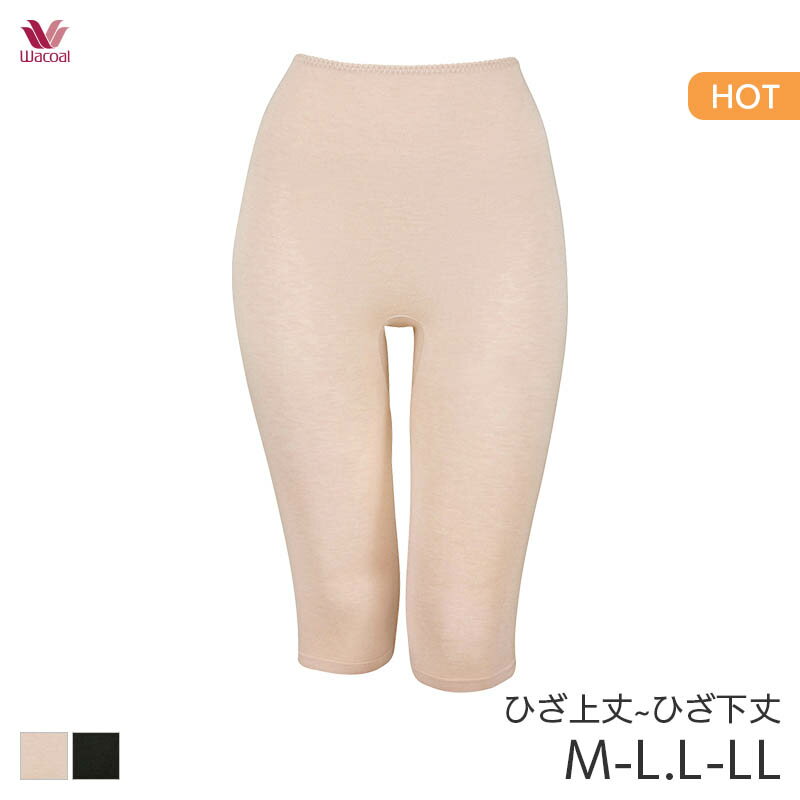25%OFF ワコール ウォーム 360°ラクストレッチタイプ ニットボトム ひざ下丈 はきこみ丈ふかめ(M-L L-LL)HLD472【メール便08】のサムネイル
