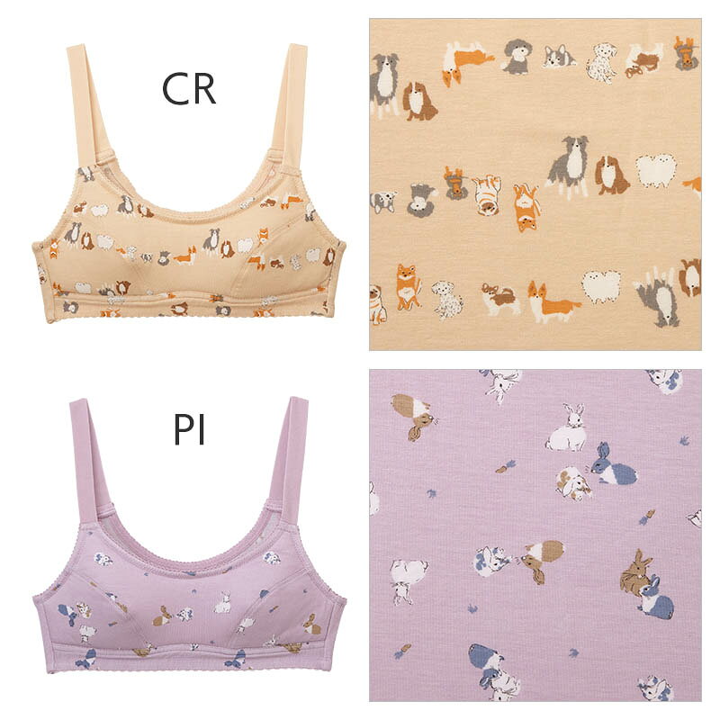 20%OFF ワコール ジュニア ステップ2 ワニナル ガールズ ブラジャー ノンワイヤー(...