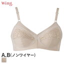 〈10/17 10:59まで30%OFF〉ウイング ブラジャー フルカップ ノンワイヤー(A Bカップ)NB6000【メール便15】