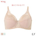【7/28 10:59まで22%OFF】ウイング 夏のうすかるブラ ブラジャー フルカップ(E F)KB2173