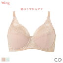 15%OFF ウイング 夏のうすかるブラ ブラジャー フルカップ(C D)KB2173