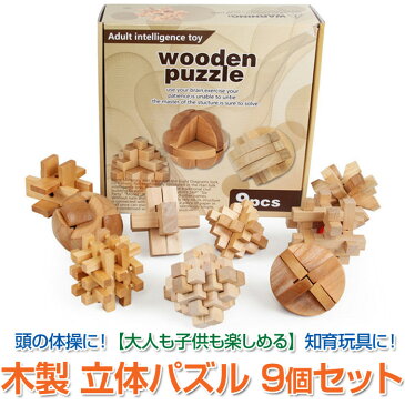 木製 立体 パズル 知育玩具 組立 積み木 カラクリ 創造力 思考力 頭の体操 知恵の輪 ボケ防止 孔明鎖 右脳 組み合わせ 推理力パズル 難易度 9個セット ◇FAM-ZL2013