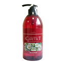 ケアテクトHBリペアシャンプー 750ml napla ナプラ ヘアケア 国内正規品