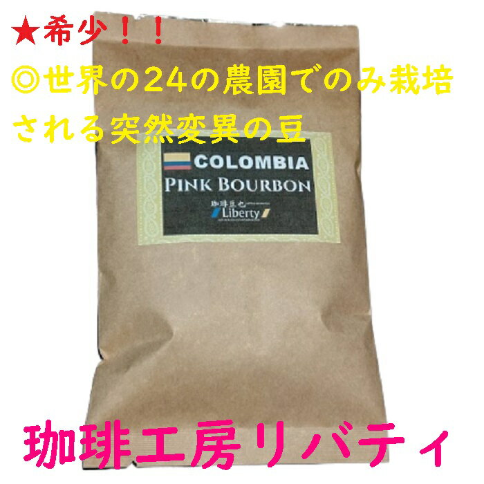 ゲイシャに似た香味【希少品種】焙煎人珈琲豆也のピンクブルボン コーヒー豆 100グラム (豆でも粉でも可）