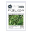 送料無料メール便にて発送【グリーンフィールドプロジェクト 有機種子 新江戸川菜豆 (丸さや / すじなし) 【春夏まき】【固定種】×5セット】※お取り寄せ品です