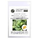 送料無料メール便にて発送【グリーンフィールドプロジェクト 有機種子 ストロベリートマト / 食用ホオズキ / ケープグースベリー 【春まき】【固定種】×5セット...
