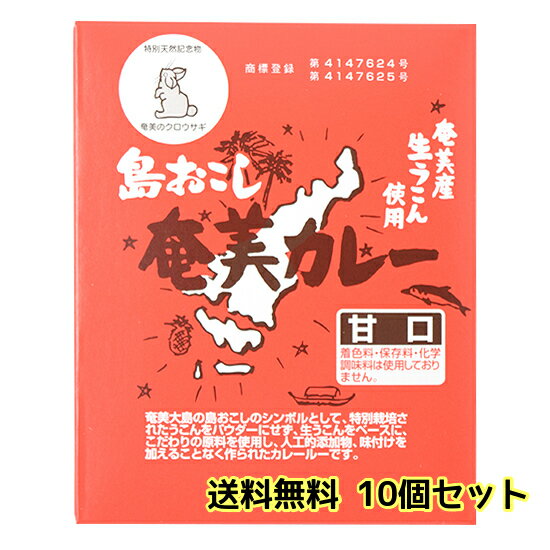 井上スパイス 奄美カレー 甘口 200g×10個セット