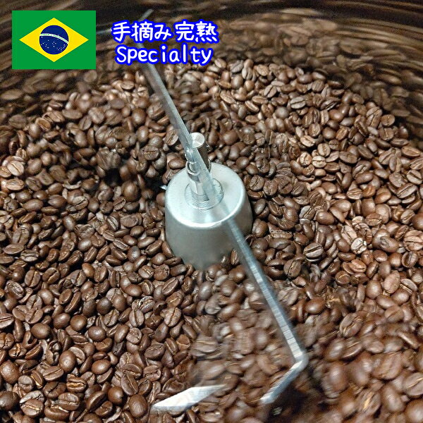 コーヒー コーヒー豆 1kg 【手摘み完熟コーヒー豆1000グラム（1キロ）】コーヒー粉 珈琲豆 ブラジルコーヒー セラード地域 スペシャリティ