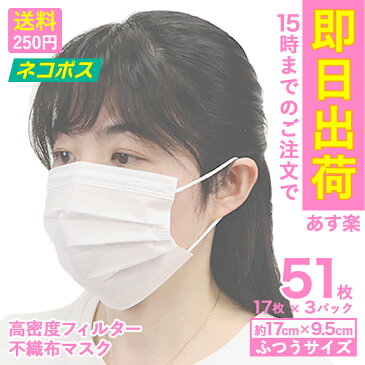 【あす楽】15時までのご注文当日発送！【送料250円】【ネコポス】マスク 在庫あり 50枚＋1枚 51枚 箱 不織布 使い捨てマスク プリーツ プリーツマスク 大人用 男女兼用 使いすて 花粉症 花粉 ほこり ハウスダスト ウイルス 痛くならない 3層 ノーズワイヤー 　mk5100