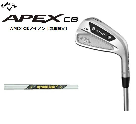     CallawayAPEX CB IRONڿ̸ۥåơ6ܥå(5I-PW)SHAFTDynamic Gold MID115