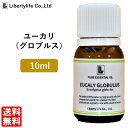 アロマオイル ユーカリ (グロブルス) 精油 エッセンシャルオイル 天然100 (10ml)