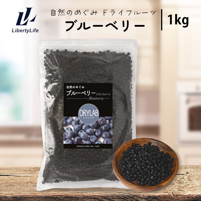 ワイルドブルーベリー ドライフルーツ (1000g) 国内加工 ドライラボ