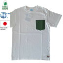 グッドオン×シェラデザインズ Tシャツ 64クロス Good On x SIERRA DESIGNS 60/40 POCKET TEE 1509 White/Green