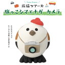 コンコンブル 旅猫 旅猫ツアーズ 旅っこシマエナガ カメラ 季節限定 数量限定 マスコット かわいい インテリア 雑貨 ミニチュア ギフト プレゼント お祝い ...