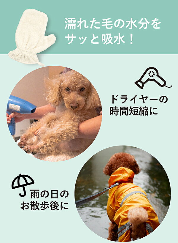 CB����ѥ�hachi���ϥ����ۿ�ڥåȡ���������