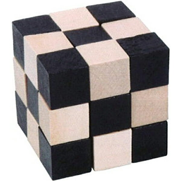 ラスタックス　IQテスト　ウッデンキューブパズル