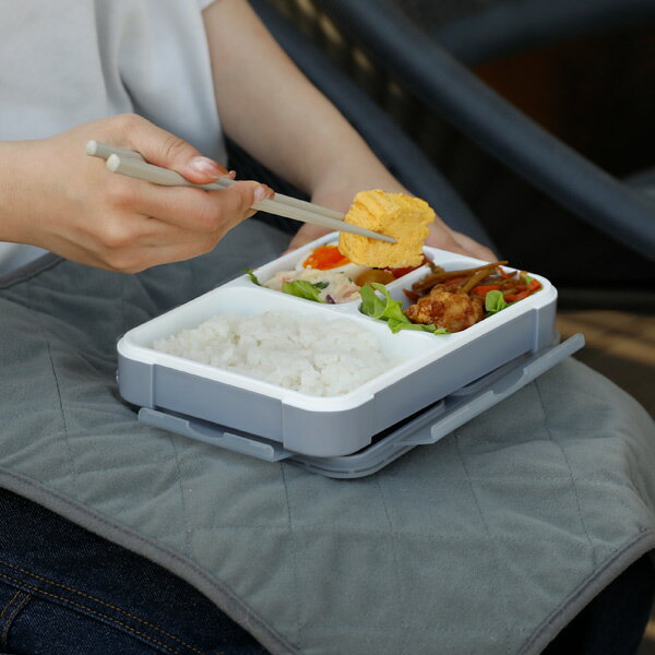 CB����ѥ�dsk.pig����������Ȣ�����ݥա��ɥޥ�600�����졼