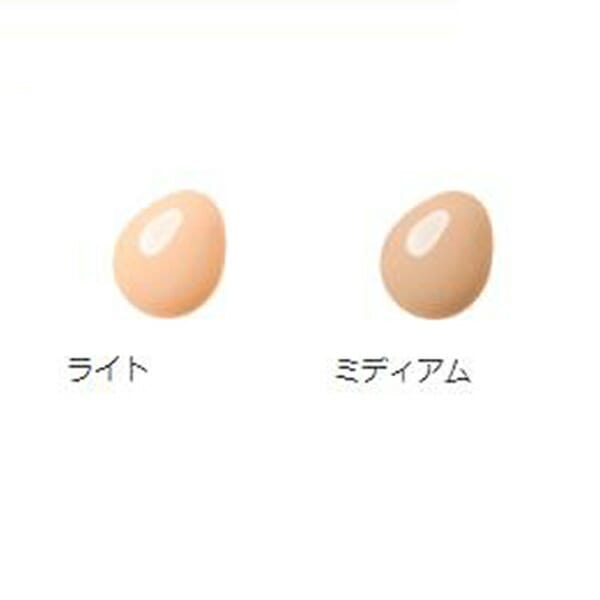 Kanebo　カネボウ　 LISSAGE　リサージ　カラーメインテナイザー　EX　N1　2色　各...