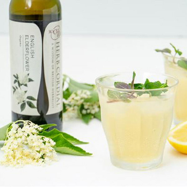 生活の木 ハーブコーディアル 有機イングリッシュエルダーフラワー 360ml 希釈用飲料 ノンアルコール libret-10055030 リブレ サンプル画像2
