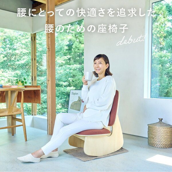 ドリーム  プロイデア ゆらゆら腰サポート座椅子 腰痛 姿勢 くつろぎ プレゼント