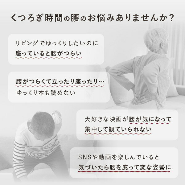 ドリーム  プロイデア ゆらゆら腰サポート座椅子 腰痛 姿勢 くつろぎ プレゼント [2]