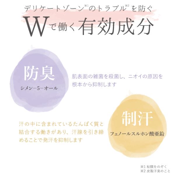 シェモア　LadyReady 　デオドラントミスト　100ml 3
