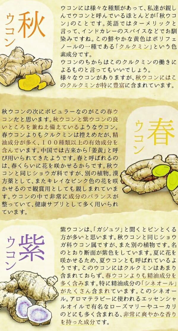 ウコンばくだん　大容量約6か月分　360粒