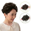 富士パックス販売 はじめての!手のひらサイズのヘアピース 薄毛 分け目 ボリュームアップ ワンタッチ ワンタッチ装着 簡単装着 クリップ式 自由自在