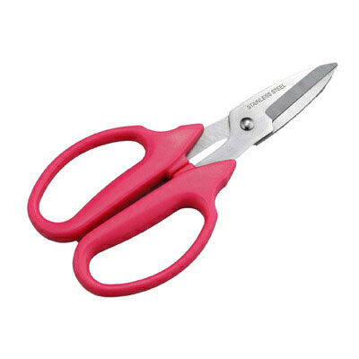 �����֥�������ȥ꡼���ե��Ϥ��ߡ�SV-4922�������ǥ˥󥰡��ե�����󥸥���