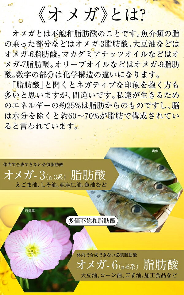 ヘルシーライフ　オメガグレイス　180粒　約6ヶ月分　栄養補助食品　健康　タブレット libret-10052215 リブレ サンプル画像2