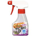 アイメディア　業務用スカッとサビ取り泡スプレー　180ml　さび落とし　工具　ハサミ