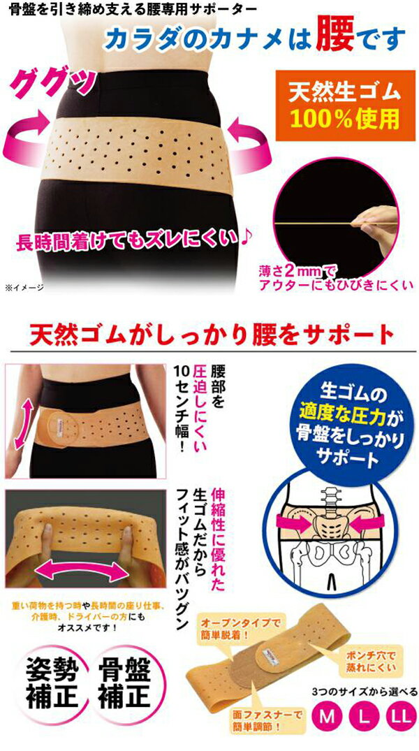 富士パックス販売　骨盤ベルト　腰の悩み　姿勢サポート　骨盤引き締め 2
