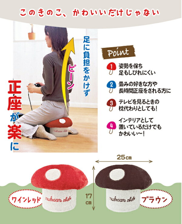 ���ξ��������֥饦��FP-439������ƥꥢ���°ػҡ��������ݡ���