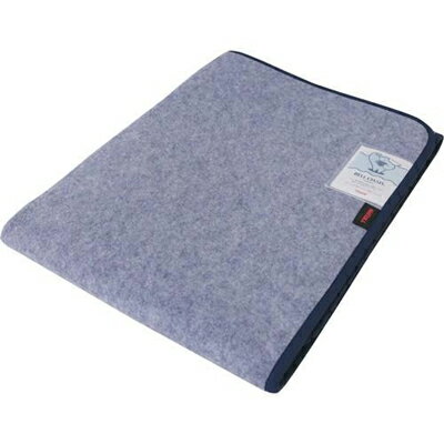 テイジン　快眠ドライプラス　プレミアム　シングル　湿気吸収　サラサラ　軽量