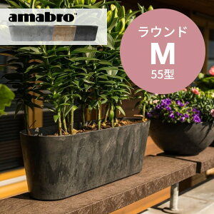 【着後レビューで選べる特典】amabro アートストーン コンテナ ラウンド M 55型 楕円 鉢 プランター 貯水タイプ 水やり忘れ防止 植木鉢 観葉植物 花 多肉植物 ハーブ 野菜 鉢植え 寄せ植え ART STONE ガーデニング ナチュラル オシャレ カッコイイ シンプル