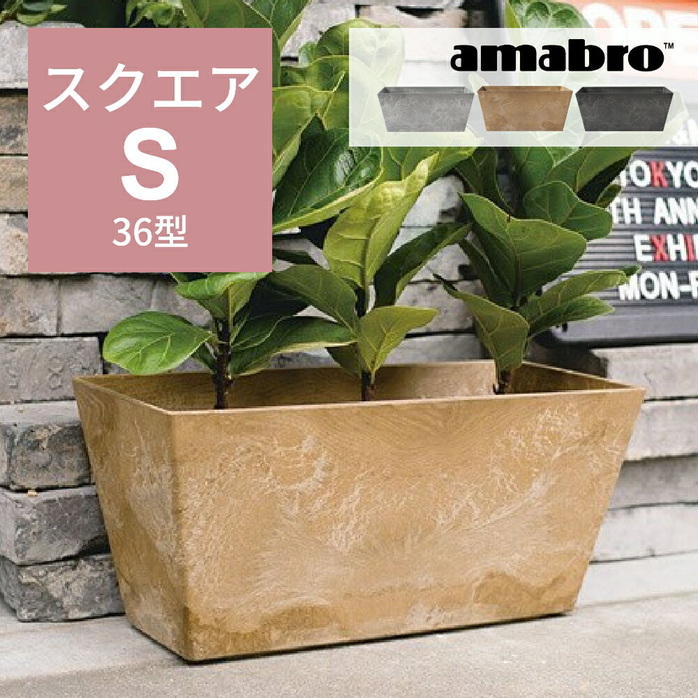 ڥӥ塼ŵamabro ȥȡ ƥ  S 36 ͳѷ ȭ ץ󥿡 奿 ˺ɻ ȭ ...