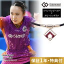【レビュー特典】 Colantotte コラントッテ TAO ネックレス スリム ARAN mini シャンパンゴールド×レッド 磁気ネックレス 医療機器 アラ...