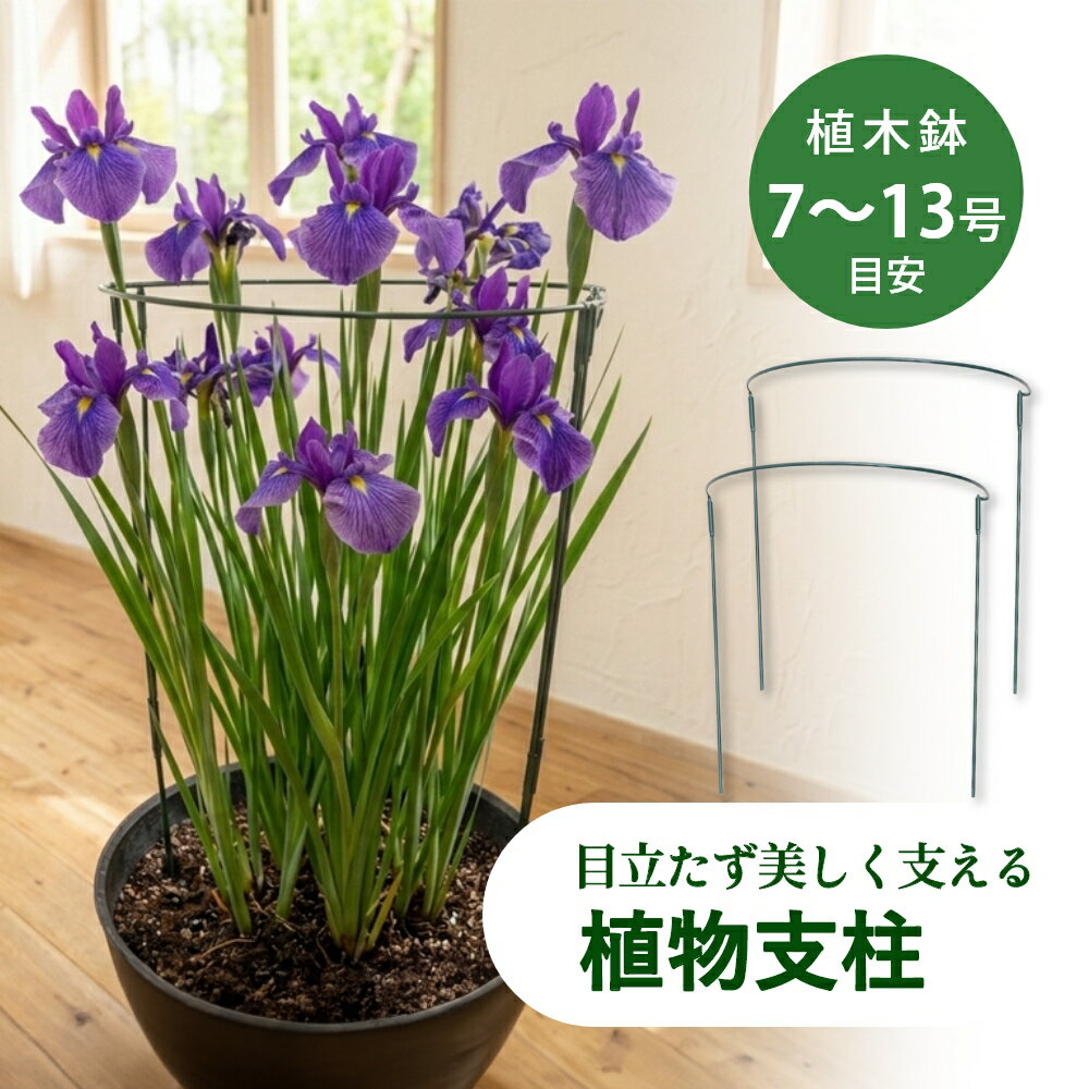 植物の美しい姿をキープする植物用支柱 ・雨や風で花や茎が倒れてしまう ・株が広がってまとまらない ・花が地面についてしまう ・支柱ちひもで固定するのが面倒 美しい姿を長く楽しむために ・倒れる前に美しい姿をキープ ・成長に合わせてしっかり支える ・広がる植物をすっきり整える 植物の自然な美しさを引き立てる ポイント1 植物に馴染むナチュラルグリーン 深みのあるグリーンカラーが葉や茎に自然に馴染み、植物の美しさを引き立てます。余計な存在感を与えず、大切な植物を主役にした美しい景観をキープします。 ポイント2 花や茎の倒れ込みをしっかりサポート 雨や風で倒れやすい植物を支え、美しい姿をキープ。背の高い花やボリュームのある植物の支柱として活躍するだけでなく、台風対策にも◎ ポイント3 ボリュームのある植物の形崩れ防止に 成長して広がりやすい植物を面で支えるので、効率的にすっきり整えられ、簡単に見栄えの良い状態を保てます。 ポイント4 丈夫なスチール製で長く使える 耐久性に優れたスチール製でしっかり植物を支えながら、繰り返し使用できます。 成長に合わせて使うなら、高さを変えられる連結式。小さな苗から背丈のある植物まで長く使えます。 ポイント5 工具不要！初心者でも簡単 植物の周りに差し込むだけで、ひもで固定する手間なく、初心者でも簡単に使えます。2個使いも、引っ掛けるだけでOK！ 使い方は植物に合わせて、自由にアレンジ可能 1、半円を横に連結させる 2、2個の半円を円形に組み合わせる 3、複数連結させて大きな植物にも◎ アイテム ガーデン・フラワーグッズ カ ラ ー グリーン タ イ プ 完成型 / 組立式 サ イ ズ 完成品：小φ20×H35cm（7〜8号) / 大φ25×H60cm（10〜13号)組立式：φ20 × H35cm（7〜8号) / φ30×H65cm（11〜13号) 材　　質 スチール 内　　容 2個 / 4個 / 6個入り ギ フ ト 引越し、新居、新生活、母の日、女性用ギフト、男性用ギフトなどにおすすめです。 対応鉢サイズは目安です。植物の大きさや株張りによって適したサイズは異なります。 植物の成長に合わせて位置を調整しながらご使用ください。 強風などによる転倒や破損を完全に防ぐものではありません。 製造工程上、サイズには若干の誤差が生じる場合がございます。 組立式はパーツを組み立ててからご使用ください。 組立式はサイズによって付属する支柱の本数が異なります。 植物・鉢は付属しません。 海外商品のため、輸送に伴う小傷やスレ等が外装や本体にある場合がございます。 モニターにより、色の見え方が実際の商品と異なる場合がございます。 当店では、WEBの在庫と店頭の在庫を共有しております。迅速に対応はしておりますが完売してしまった場合ご用意出来ない場合もございます。予めご了承下さい。