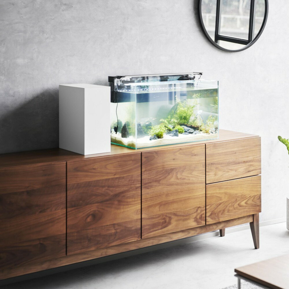 大丸【新品】ヒーター＆LED付小型水槽 黒2個・白2個 大丸【新品】ヒーター＆LED付小型水槽 黒2個・白2個 大丸【新品】ヒーター