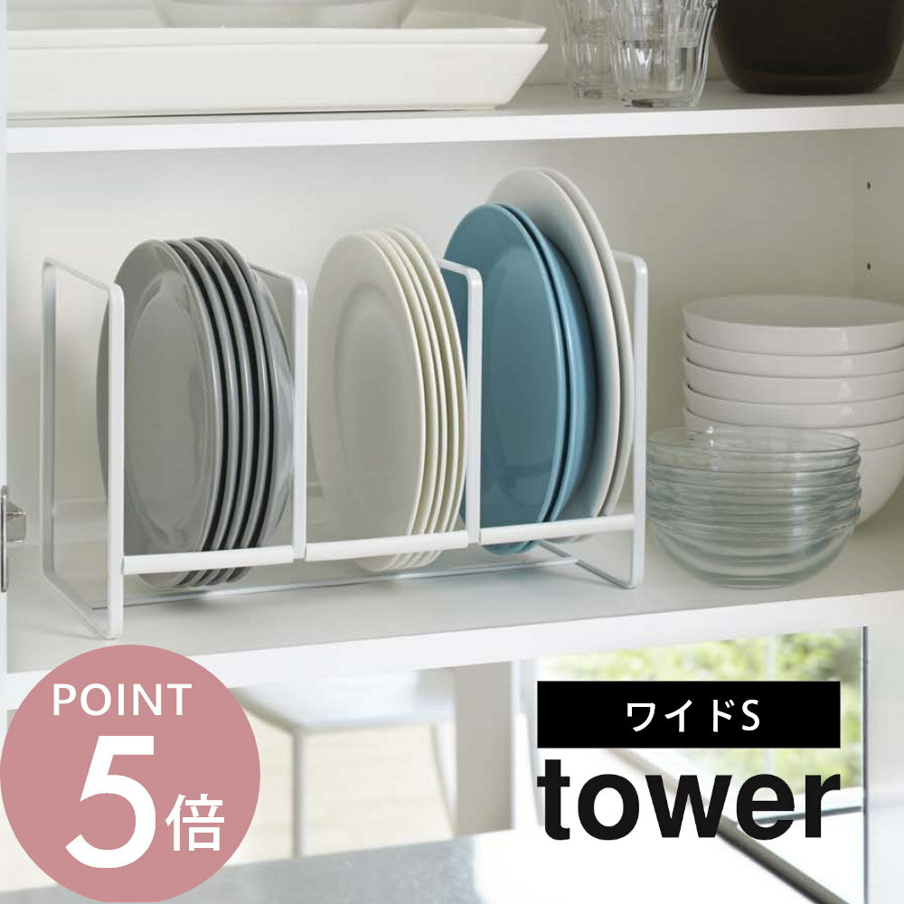 山崎実業 【 ディッシュラック タワ
