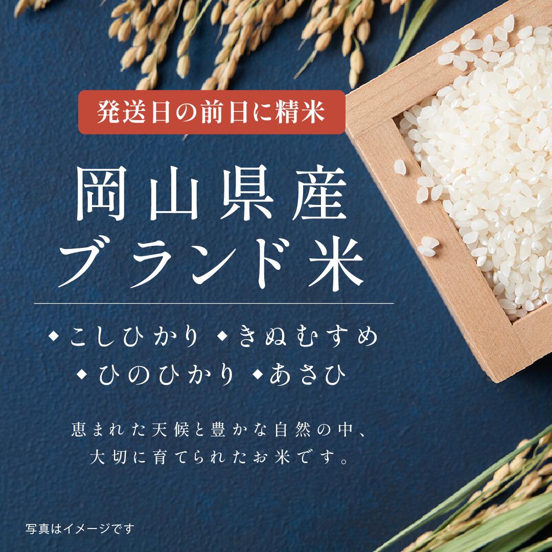 母の日の銘柄米食べ比べ4種セット ／ 母の日 米 新米 名入れ プレゼント 実用的 ギフト 孫 子ども お米 花以外 令和6年産 きぬむすめ 食べ物 食品 グルメ カーネーション 使える 名入れ メッセージ入れ お母さんありがとう 感謝 かわいい おしゃれ